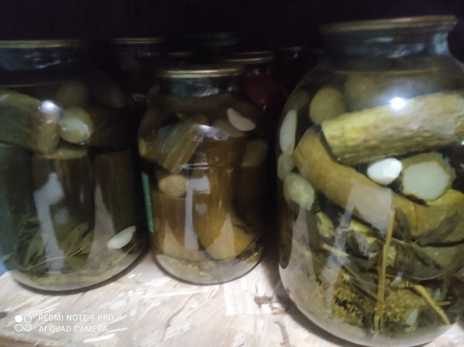 Соленные  огурцы