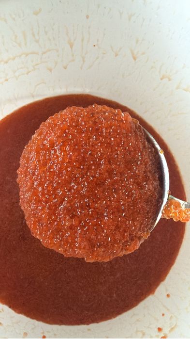 Красная икра форели