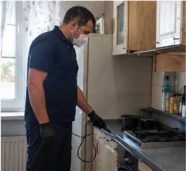 Servicii Dezinsectie, Deratizare, Dezinfectie Bucuresti / Ilfov – Non-Stop