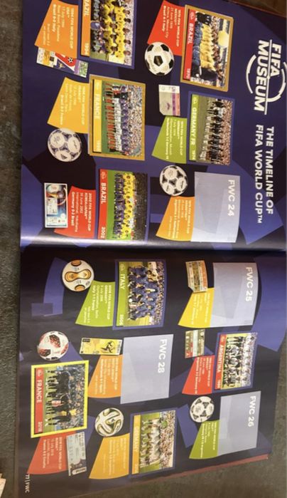 Panini Qatar 2022