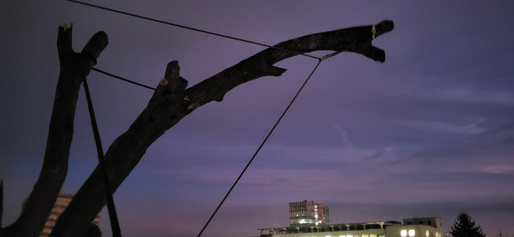 taiere, brazi /plopi /stejari  dificili,  uscat greu accesibili