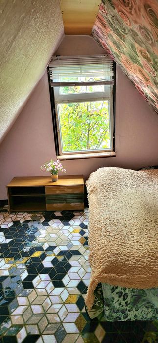 Продам дачу в Новой Бухтарме