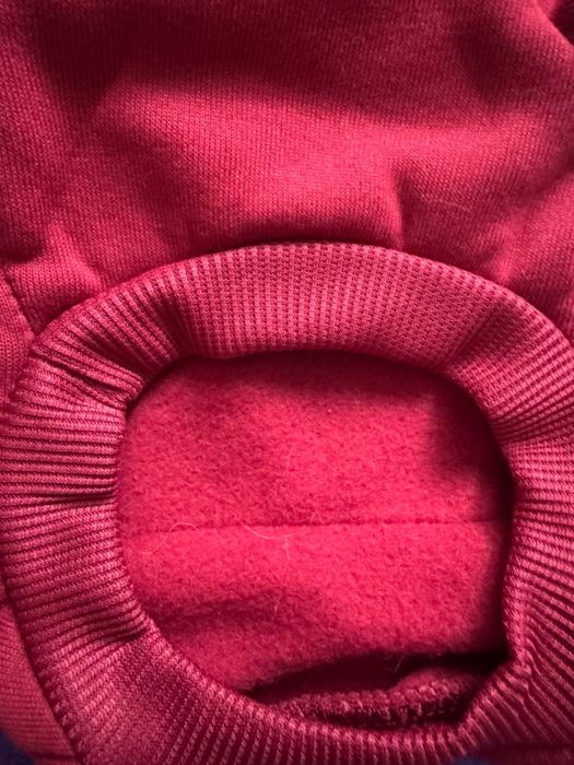 Одежда для собак