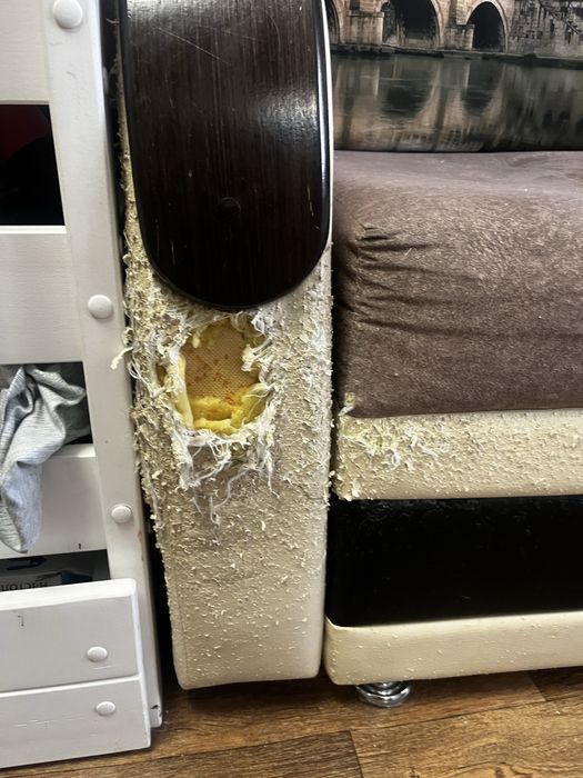 Продам диван раздвижной