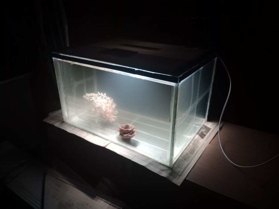 Аквариум 88л + бонусы и рыбки.