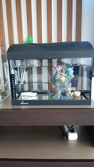 Acvariu 25 L cu accesorii