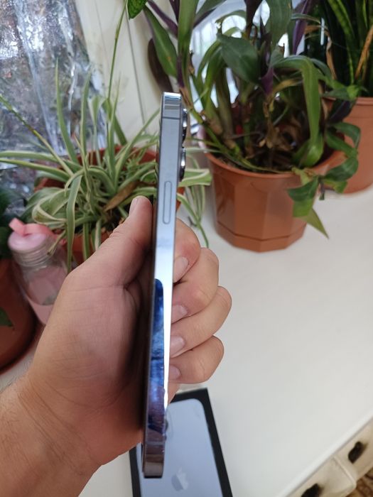 iPhone 13 pro maks