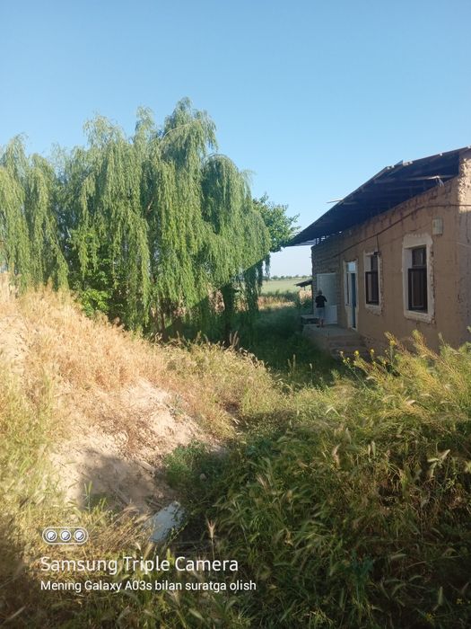 Jizzax Sh.Rashidov tuman. Uch tepa daxasi Yangi hayot maxallasi