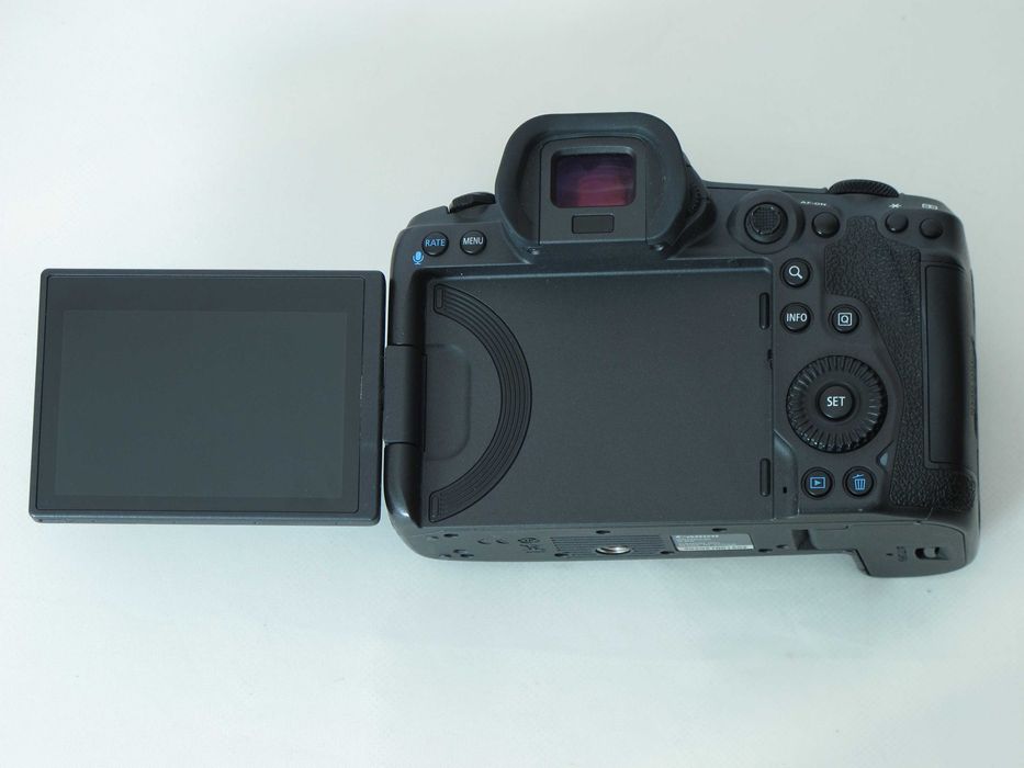 Canon R5; Canon RF 100mm f/2.8L Macro