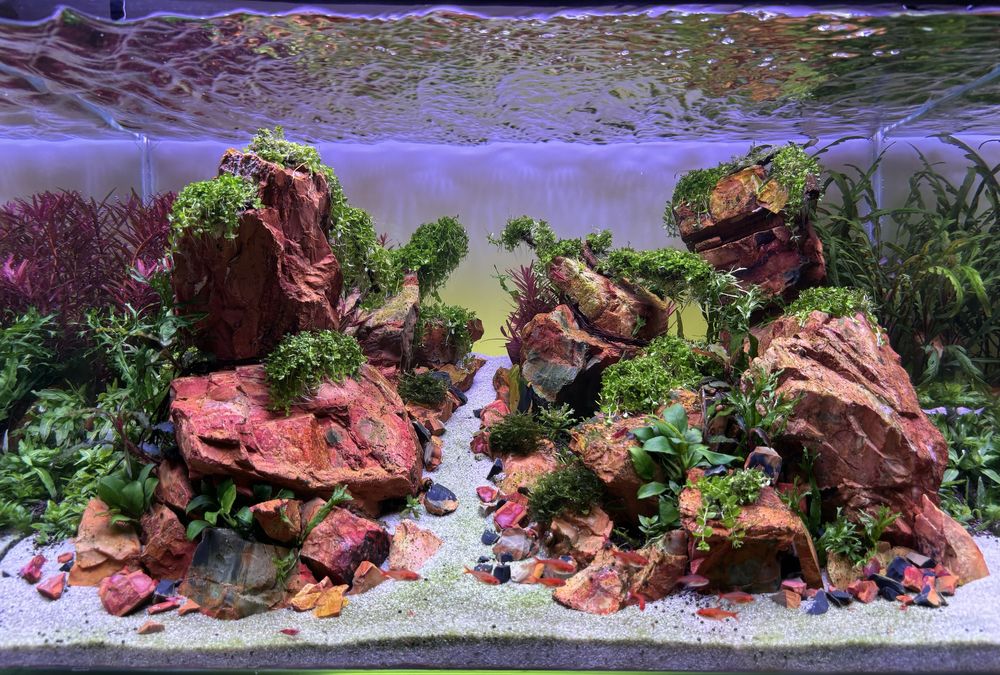 Обслуживание пресноводных аквариумов