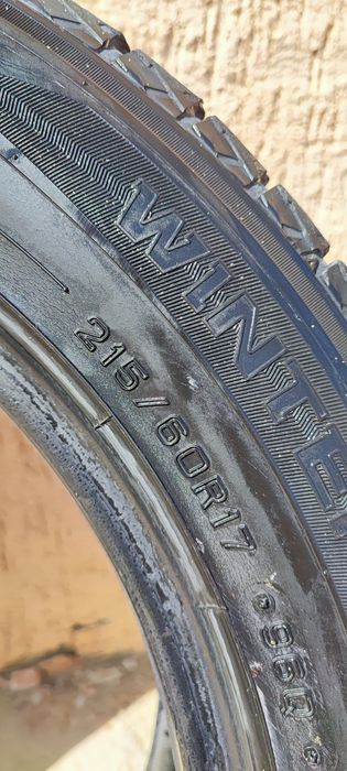 Шины зимние Dunlop 17
