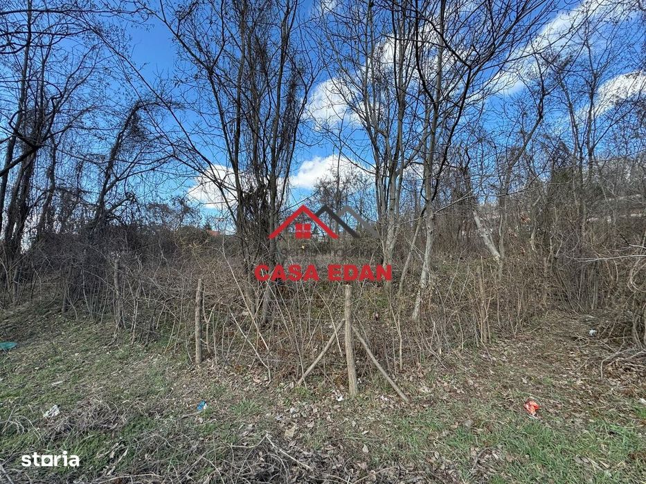 Teren intravilan in Campina--1565 mp--35.000e