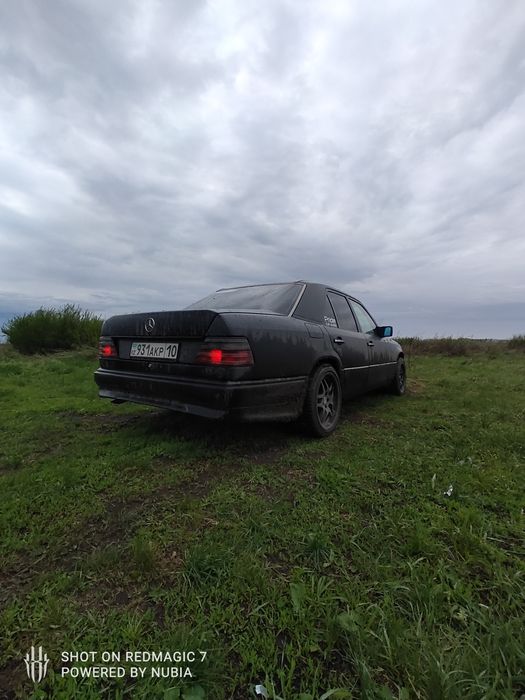 Продам Живого Немца