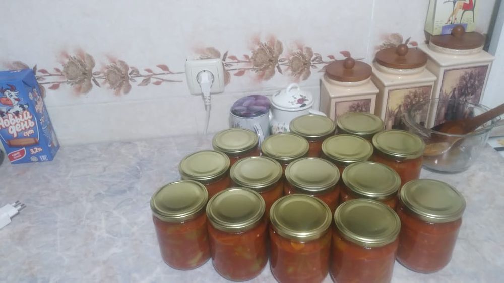 Домашние сольенья