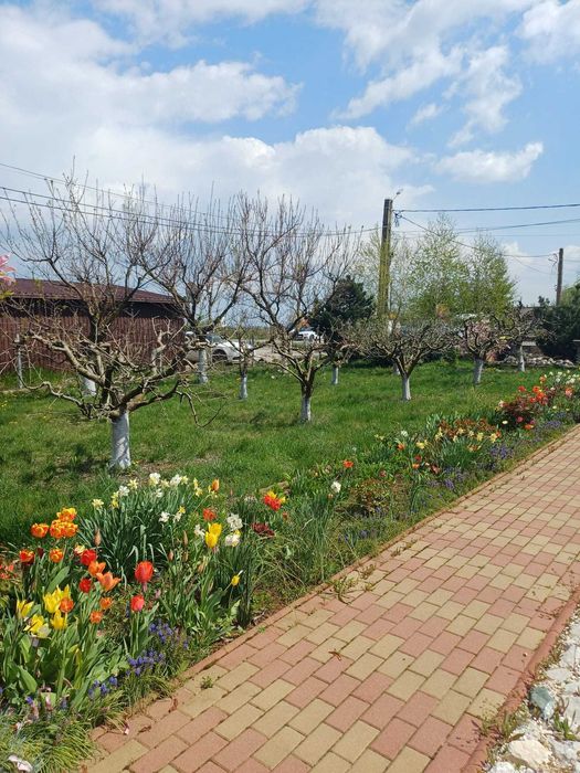 Casa de Vanzare,suprafata 1300m2,casa+teren