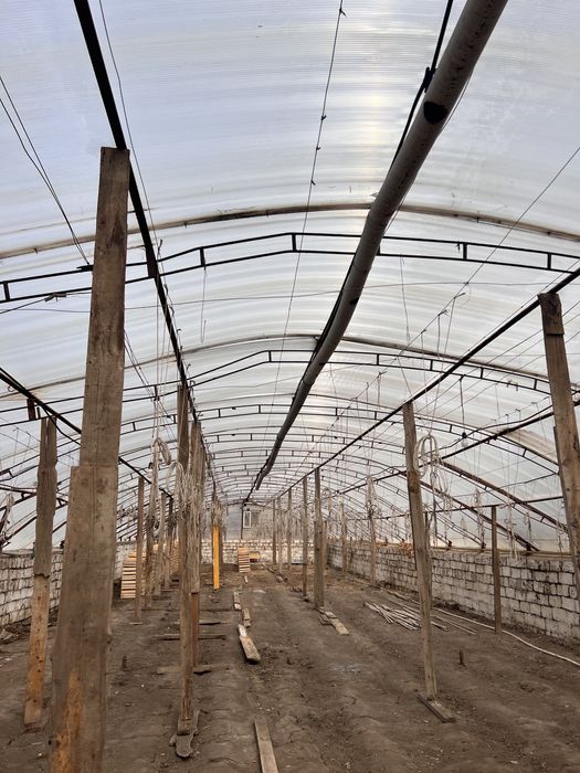 Поликорбонат продам