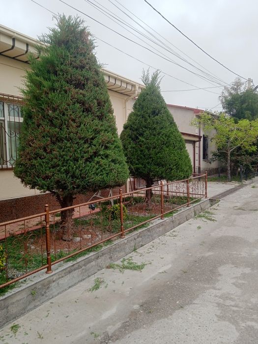 Landshaftni dizayner gazon xizmati