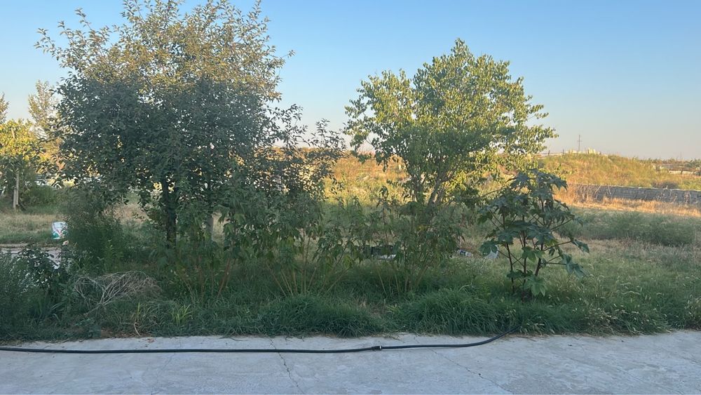 Қайнар елді мекені, Құмарұлы 1 үй