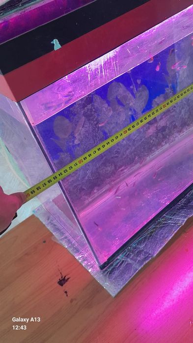 Аквариум сатылады