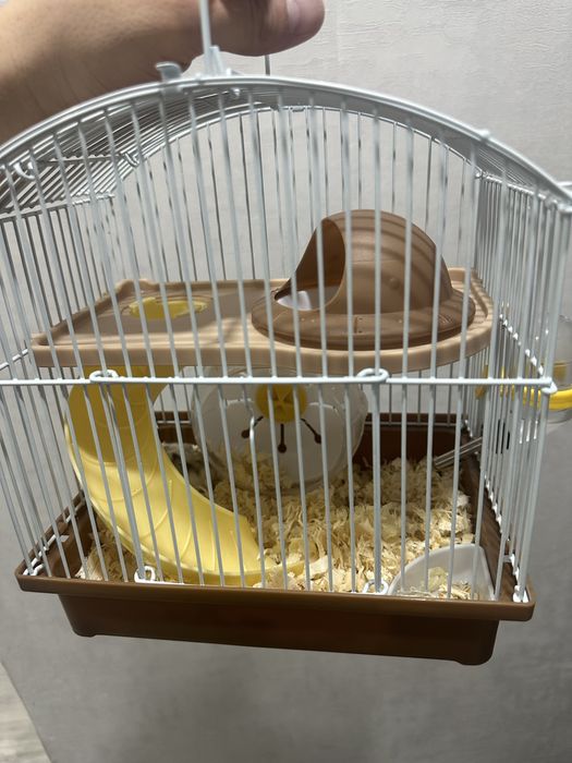 Продается хомяк с домиком