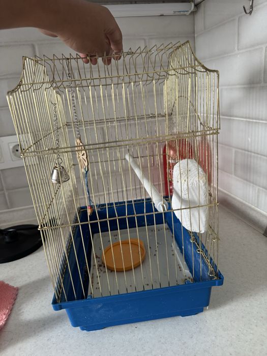 Клетка для попугая