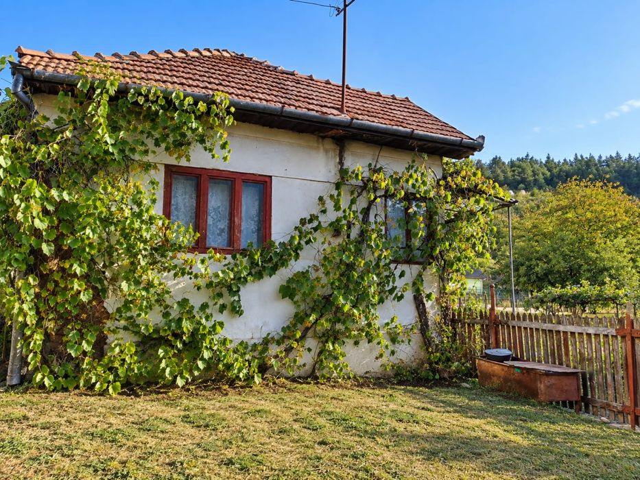 Casa de Vanzare Sat Agârbiciu Com. Capusu Mare
