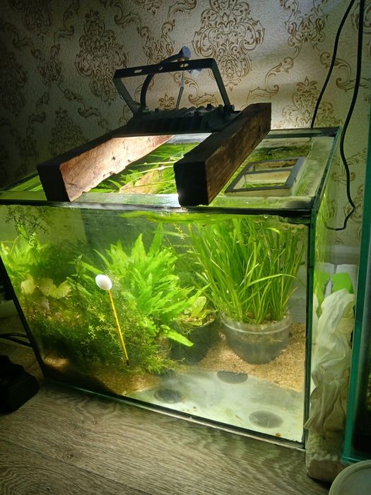 Аквариум в комплекте с рыбками