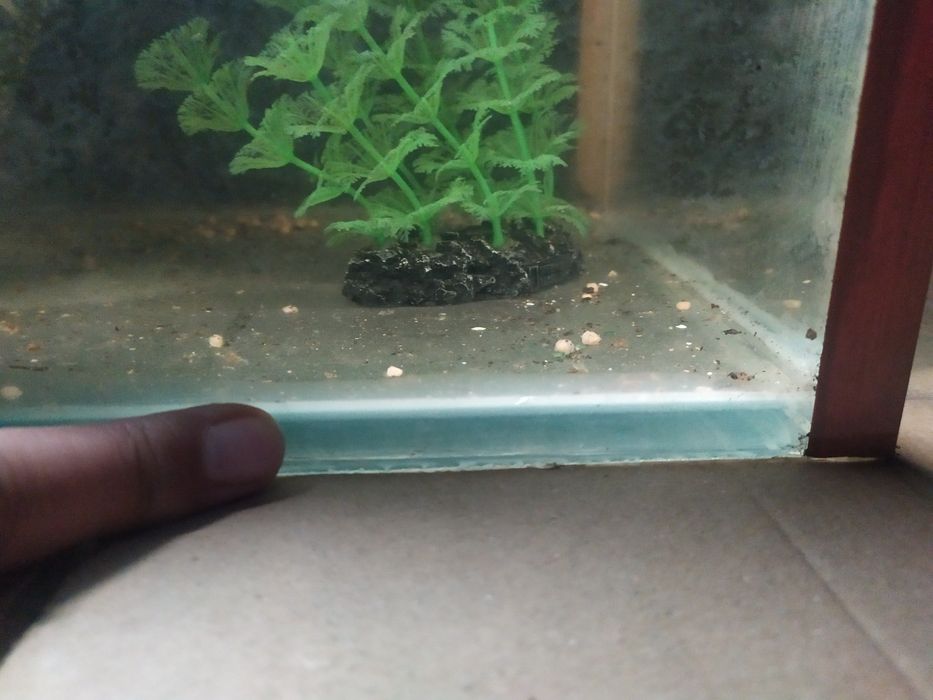 Аквариум 73л + бонусы и рыбки.