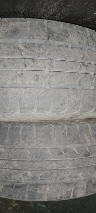 2 Шины на р 15 Тунга Зодиак
