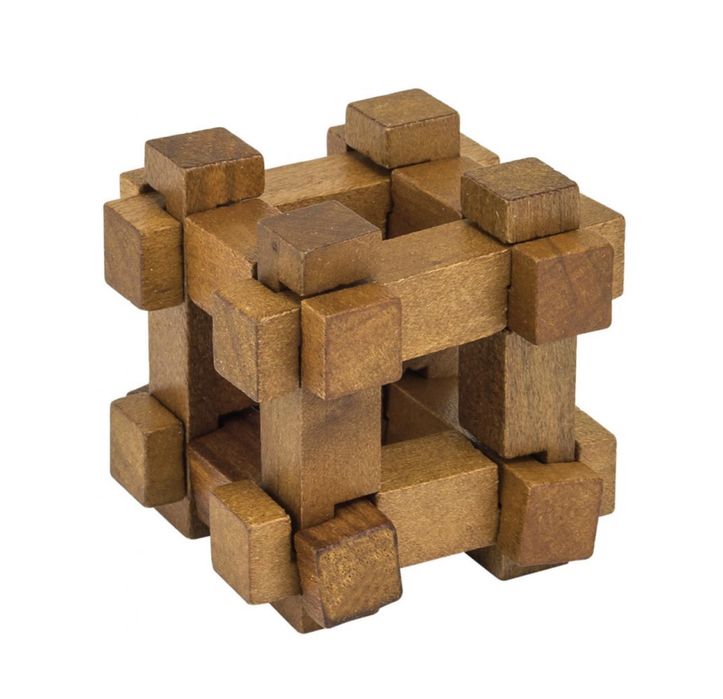 Мини дървен пъзел Professor Puzzle Da Vinci и Darwin