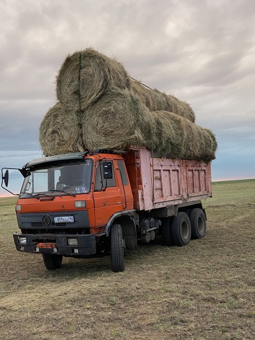 Продам сено
