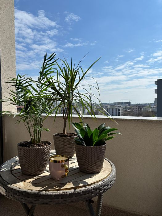 Apartament 2 camere metrou Păcii - Direct Propietar