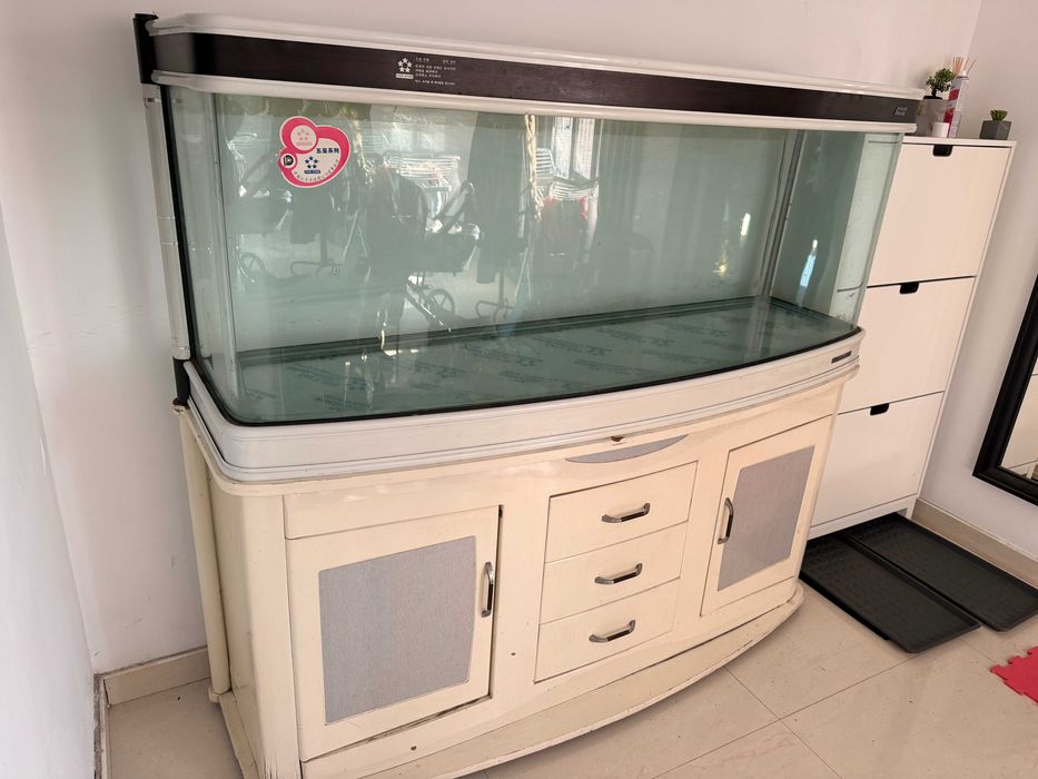 acvariu 480 L, sticla curbata