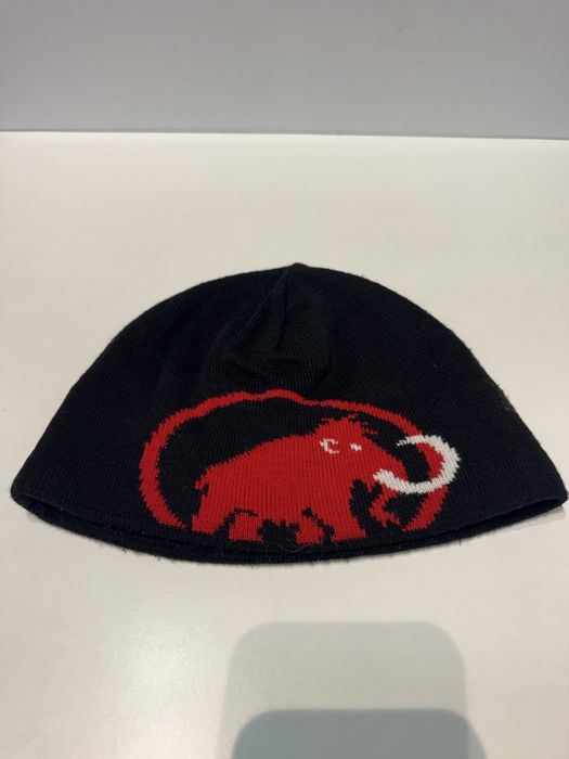 Мъжка зимна шапка MAMMUT