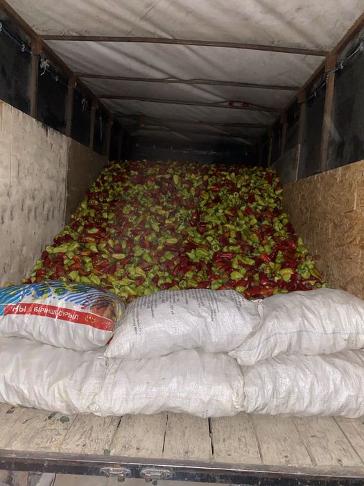 Кузов сатылат 5.30