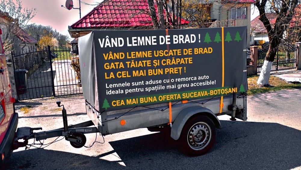 Lemne de foc Brad uscate