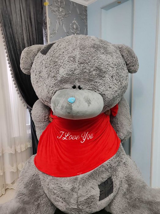 Teddy ayiqchasini eng kattasi