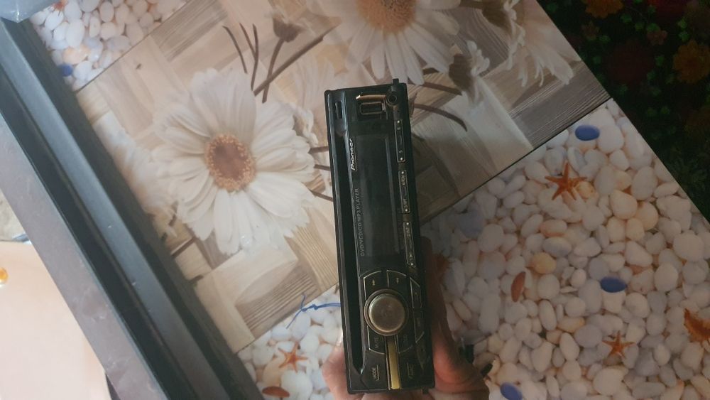 Pioneer arginali