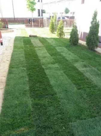 Gazonul Rulou Premium - Alegerea Perfectă pentru Grădina Ta!
