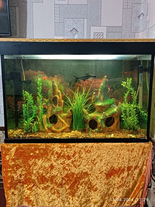 Akvarium 140 litr komplekt hamma narsasi bilan 12 ta baliq bilan