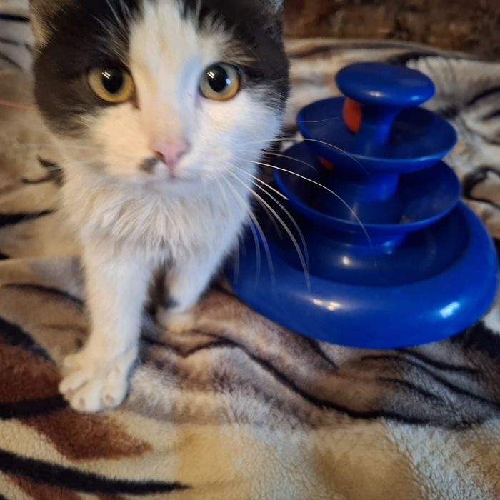 Отдам в хорошие руки