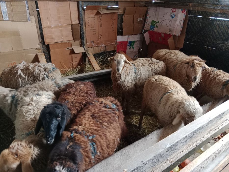 Срочно срочно продам