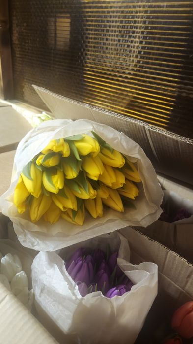 В Наличии шикарные тюльпаны