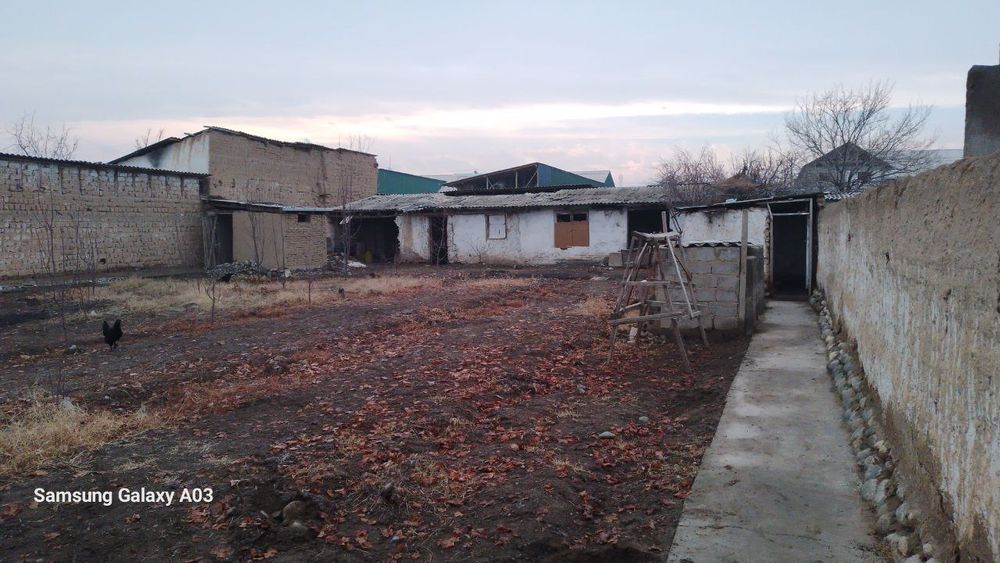 Миндоноботда чек сотилади