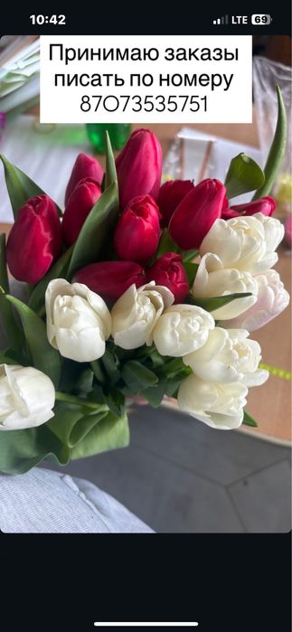 Тюльпаны к 8 марта