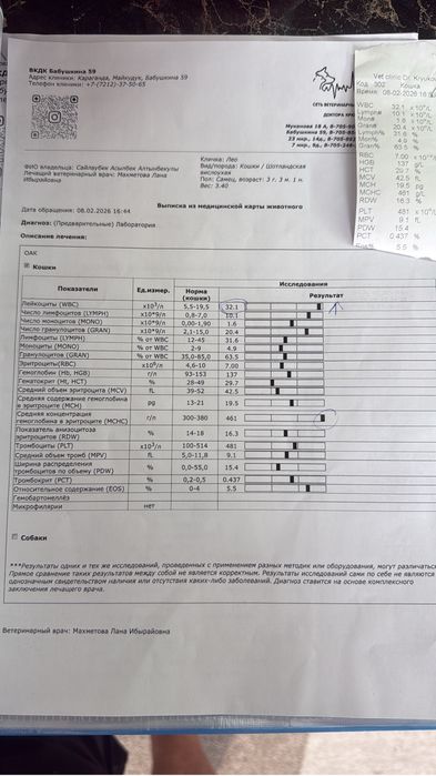 Продам кота! Привит, стерилизован, обучен,