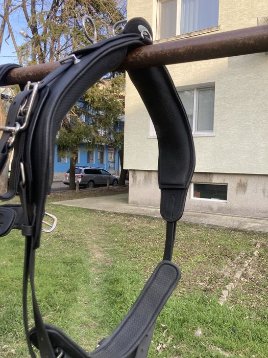 Амуниция за впряг