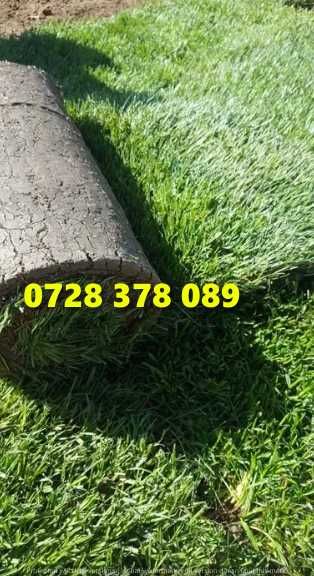 Gazon / Insamantare / Rulouri de Gazon