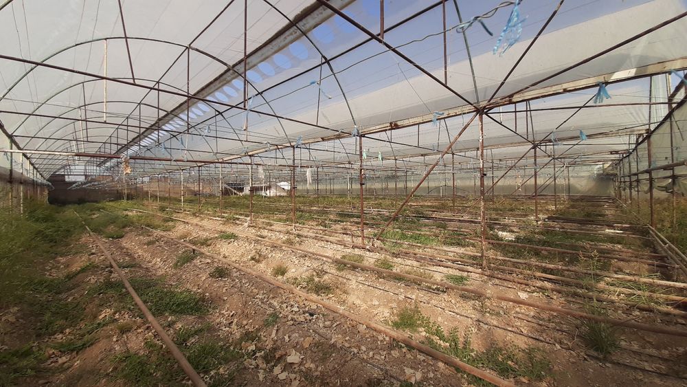 Продаю парник 15,5 сот