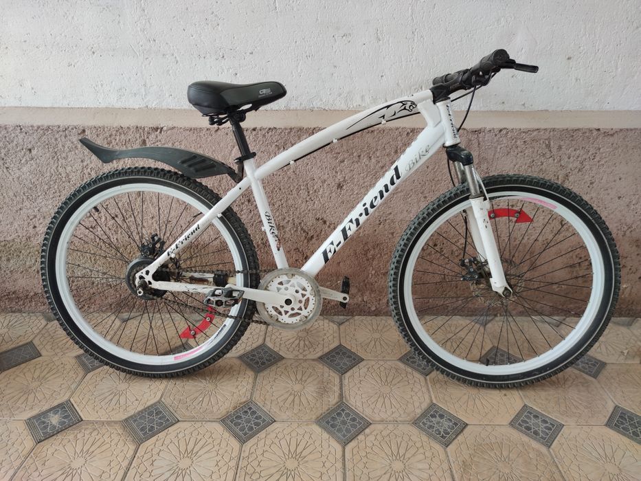 Sportivniy  velosoped E-Friend